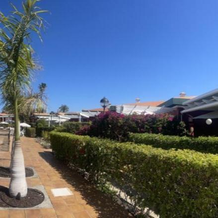 Bungalow Verdemar Maspalomas 마스팔로마스 외부 사진